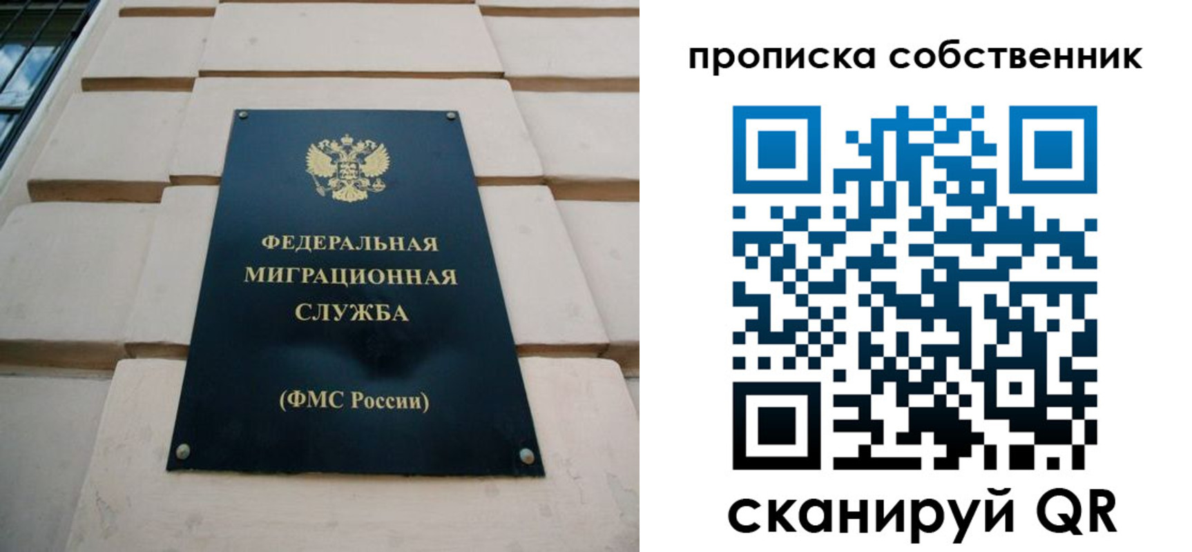 прописка законно в Жердевке